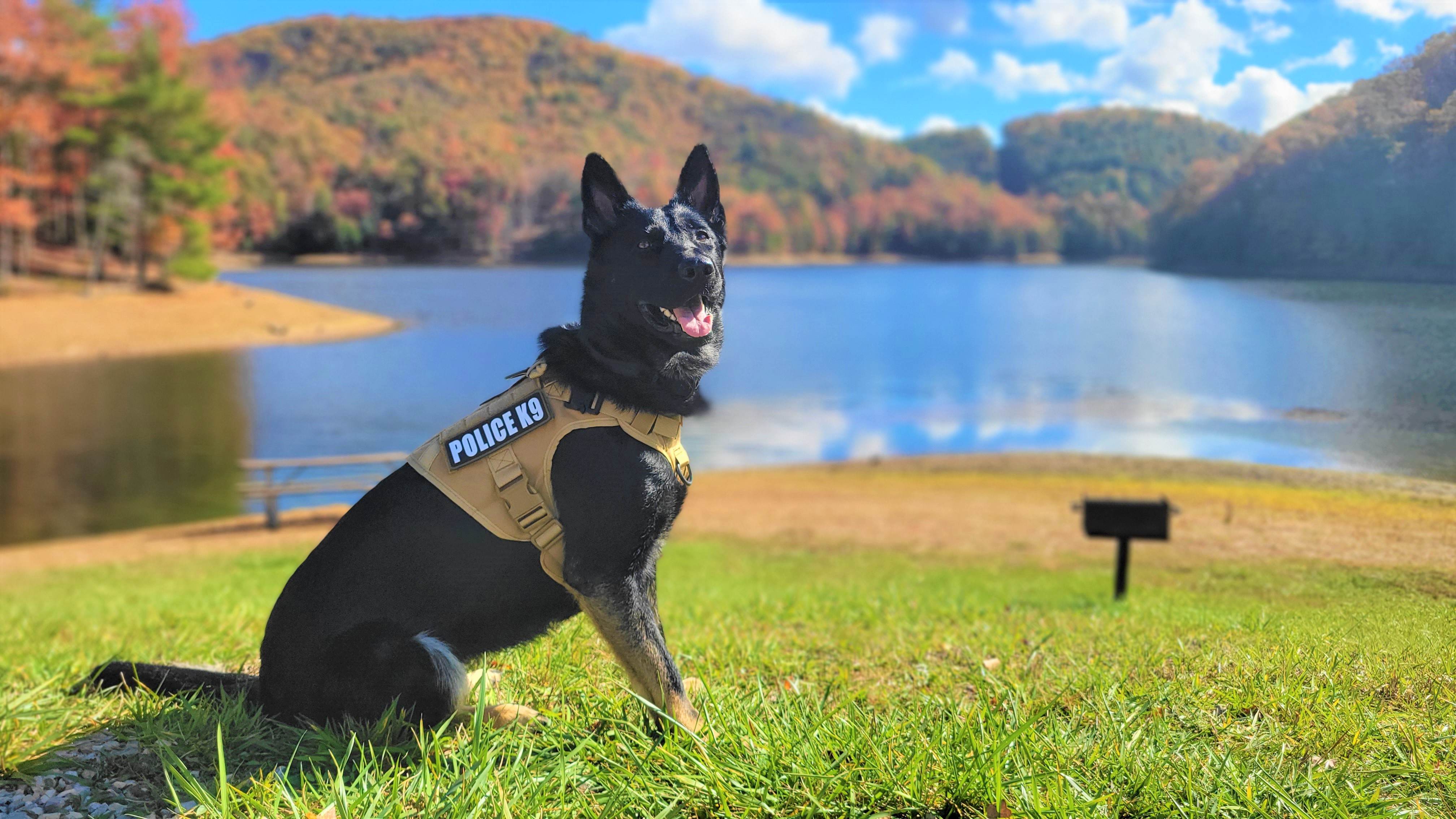 Police K9 Juneau